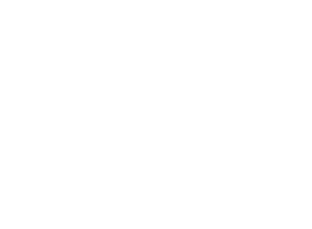 Vogue Auto Care